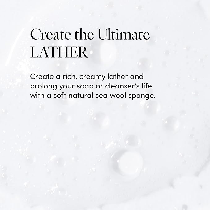 LATHER - Natural Sea Wool Sponge, 4-5" - Organic Exfoliating Body Scrubber - - Image 4