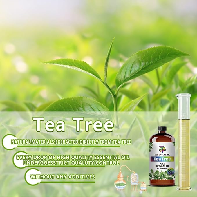 Tea Tree Essential Oil – Tea Tree Oils - Image 7