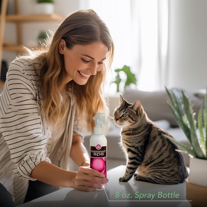 Best Shot Scentament Spa Botanical Body Splash, Detangler Spray, Body Spray - Image 7