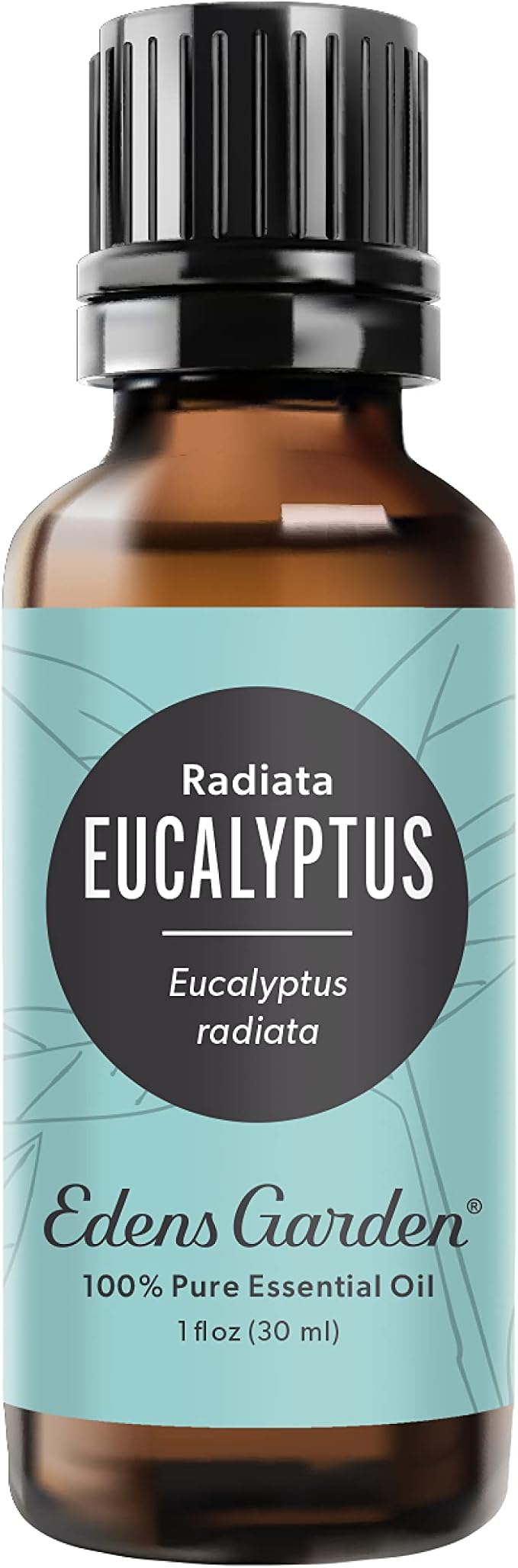 Edens Garden Eucalyptus- Radiata Essential Oil- 100% Pure Premium Grade by EdensGarden