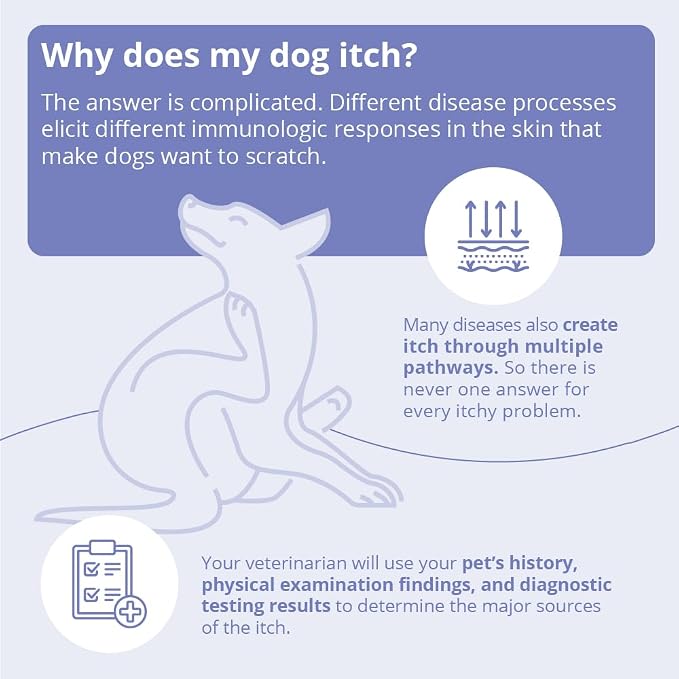 MiconaHex+Triz Shampoo for Dogs, Cats and Horses, 8 oz - Image 6