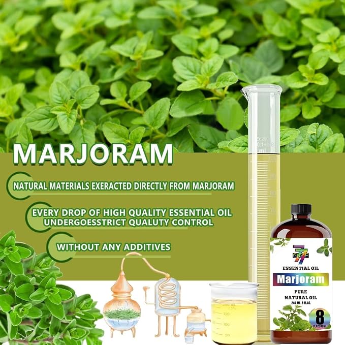 Marjoram Essential Oil – Marjoram Oils - Image 8