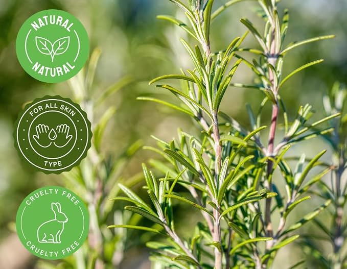 GreenHealth Rosemary Essential Oil 16 fl oz – 100% Pure Undiluted – Steam - Image 3