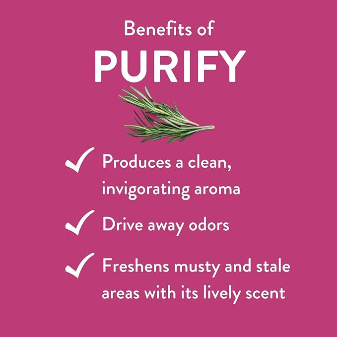 Purify Essential Oil Blend by Revive Essential Oils - Image 3