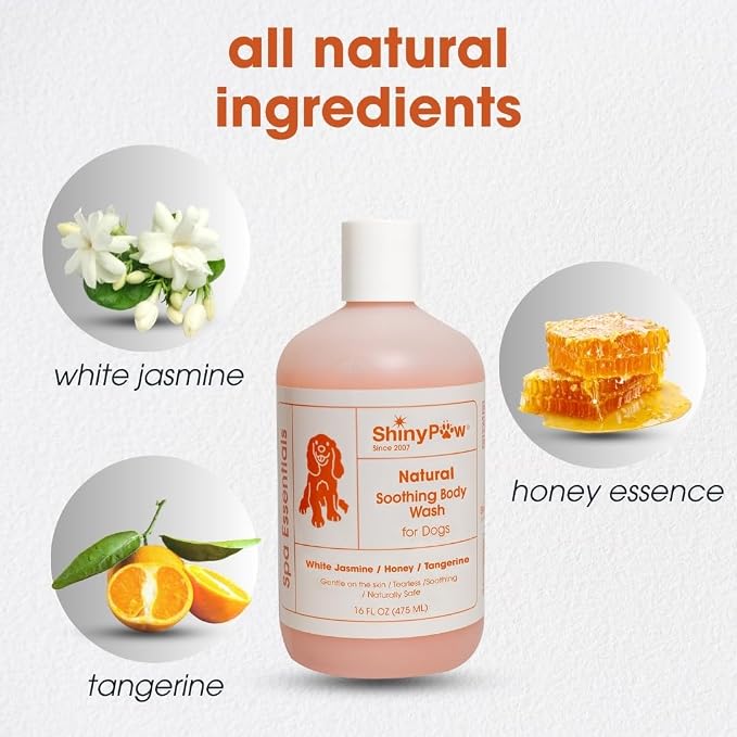 Jasmine & Honey Spa Body Wash for Dogs by Shiny Paw 16 oz | Dog Itchy Skin - Image 3