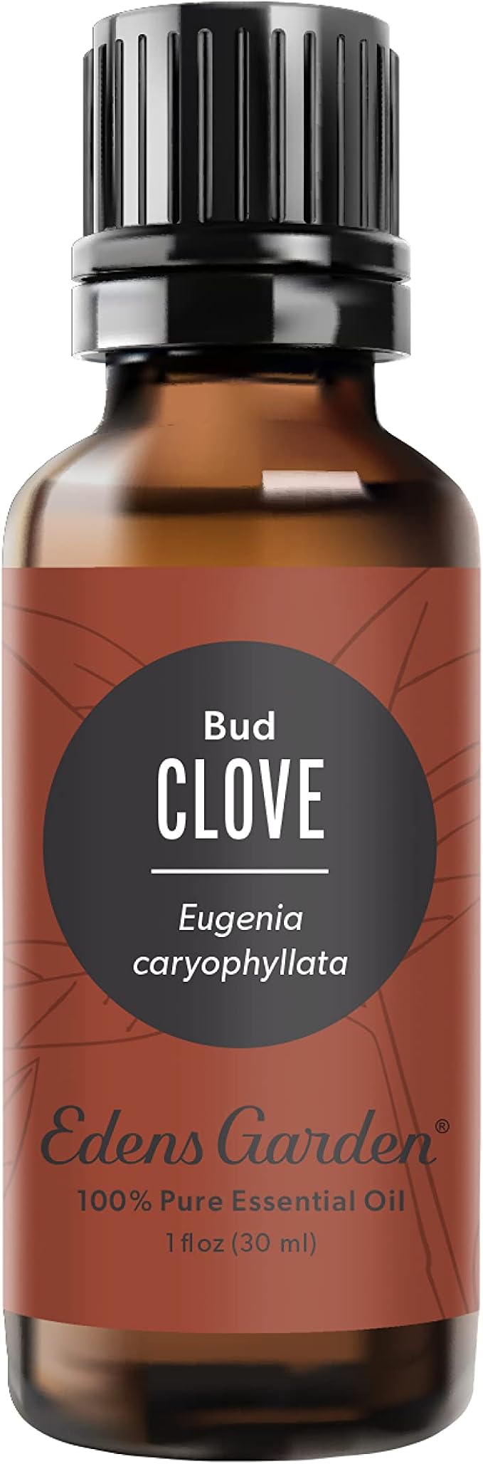 Edens Garden Clove- Bud Essential Oil- 100% Pure Premium Grade, Therapeutic by EdensGarden