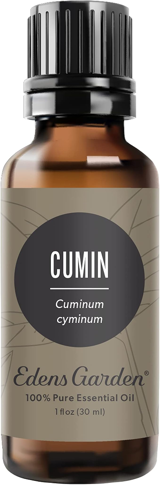 Edens Garden Cumin Essential Oil- 100% Pure Premium Grade, Therapeutic by EdensGarden
