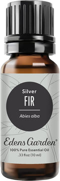 Edens Garden Fir- Silver Essential Oil, 100% Pure Therapeutic Grade 10 ml by EdensGarden