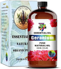 Geranium Essential Oil – Geranium Oils by GV77ZFESSENTIALOILBUYNOW