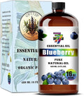 Blueberry Essential Oil – Blueberry Oils by GV77ZFESSENTIALOILBUYNOW