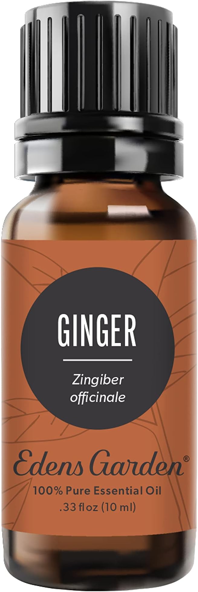 Edens Garden Ginger Essential Oil- 100% Pure Premium Grade, Therapeutic by EdensGarden