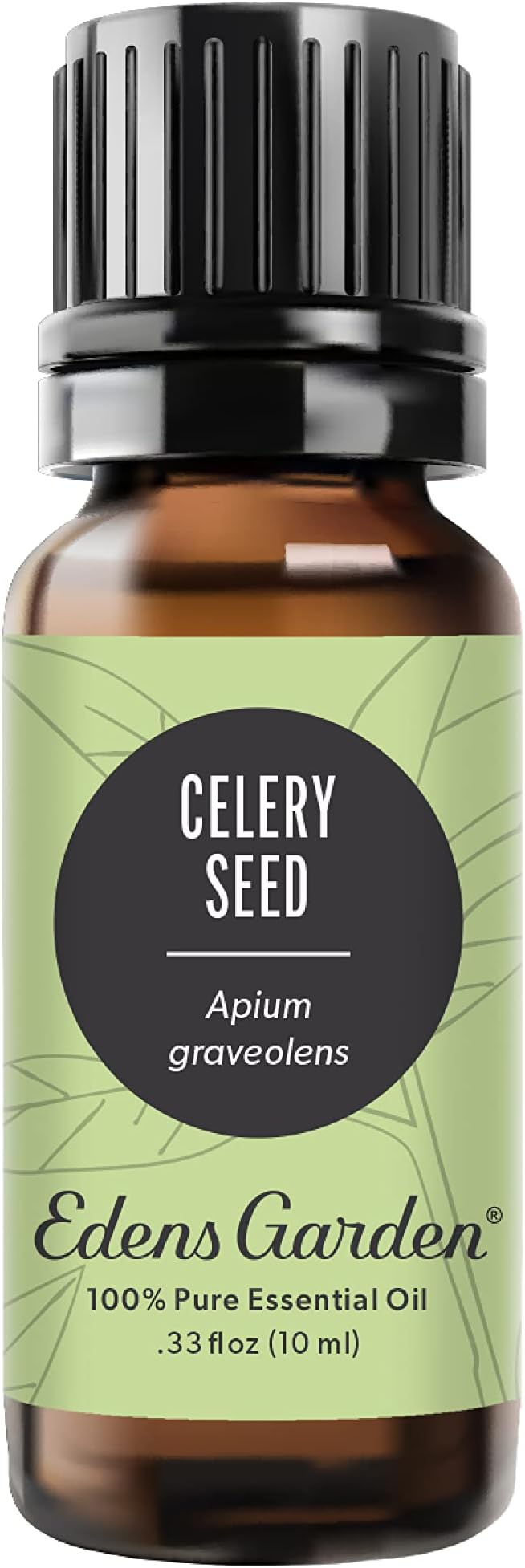 Edens Garden Celery Seed Essential Oil- 100% Pure Premium Grade, Therapeutic by EdensGarden