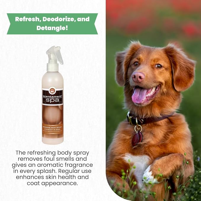 Best Shot Scentament Spa Botanical Body Splash, Body Spray Conditioner - Image 3