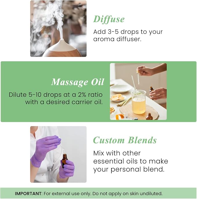 Handcraft Blends Basil Essential Oil – Huge 4 Fl Oz – 100% Pure and Natural – - Image 6