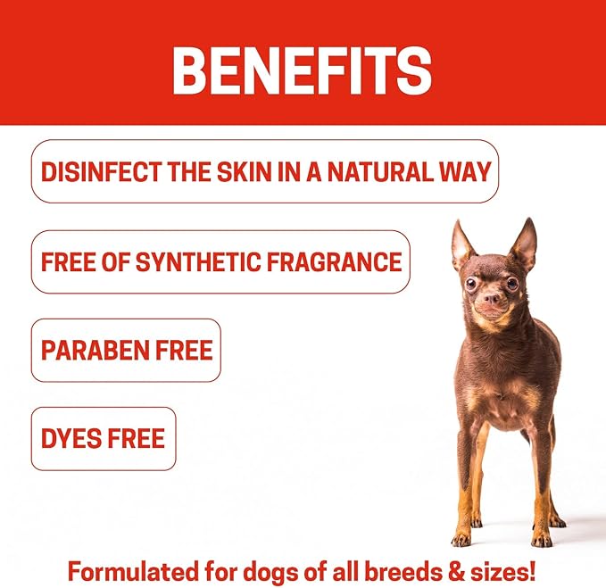 Natural Dog Shampoo for Hot Spots And Sores | Soothing Relief for Irritated Or - Image 4