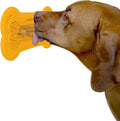 Lick Lick Pad Dog Accessories | Pet Shower Attachment | Dog Peanut Butter Lick by PerfectCurve
