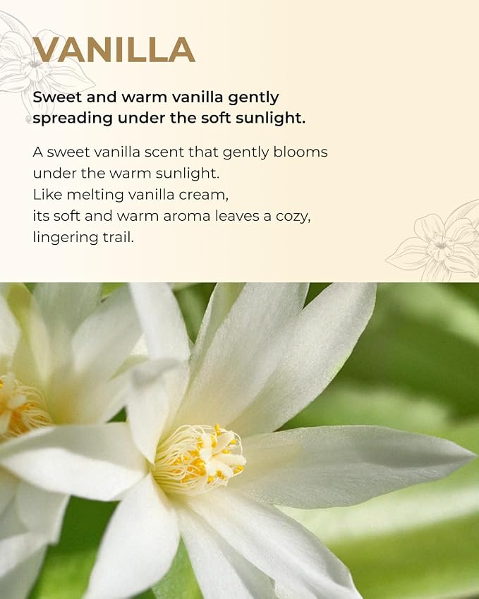 BOM Chiffon Vanilla Body Mist 3.71 Fl Oz, Vanilla Scented Fine Mist - Image 4