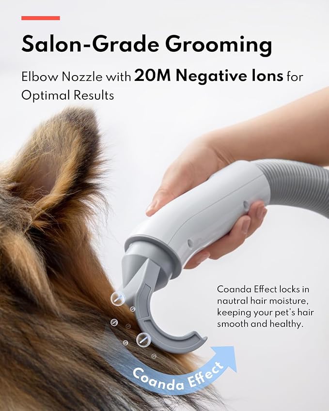 HomeRunPet Dog Dryer, Pet Hair Dryer - Image 3