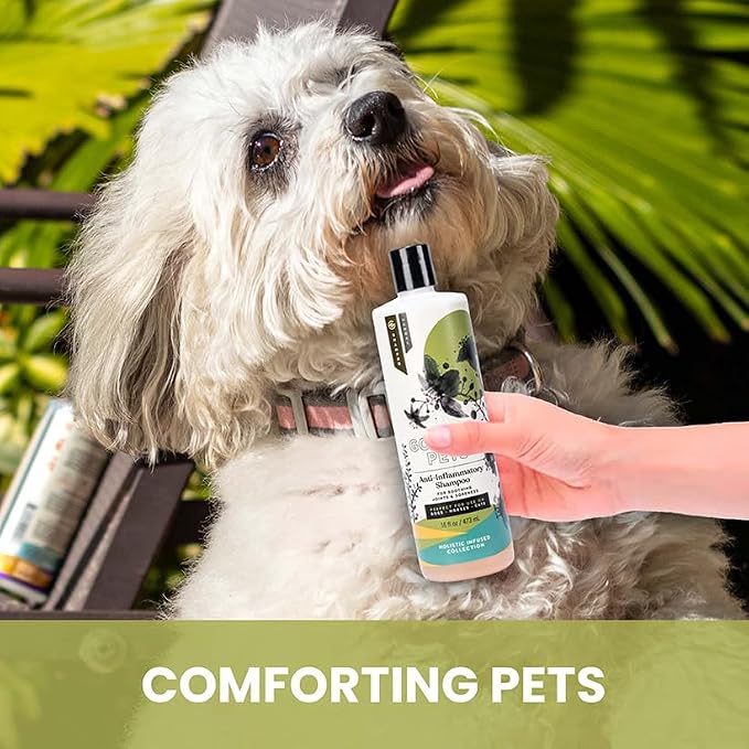 Holistic Natural Anti-Inflammatory Pet Shampoo: Veterinarian Recommended: - Image 5
