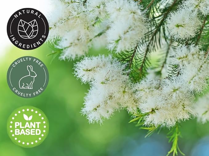 Tea Tree Essential Oil – 16 fl oz – 100% Pure & Undiluted – Steam-Distilled - Image 4