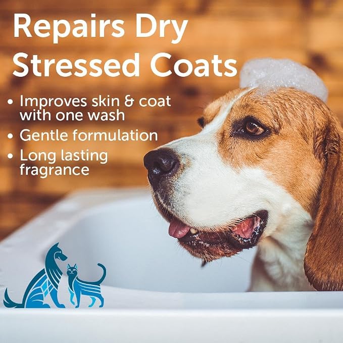 Nootie - Pet Shampoo for Sensitive Skin - Revitalizes Dry Skin & Coat - Natural - Image 2
