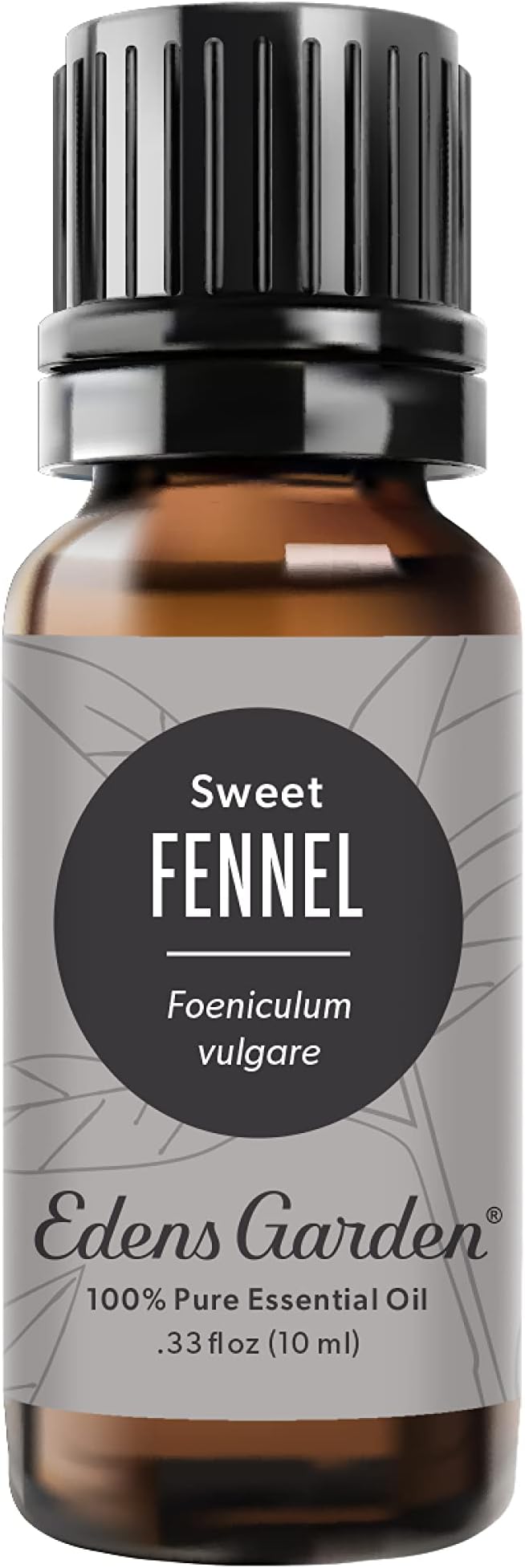 Edens Garden Fennel- Sweet Essential Oil- 100% Pure Premium Grade, Therapeutic by EdensGarden