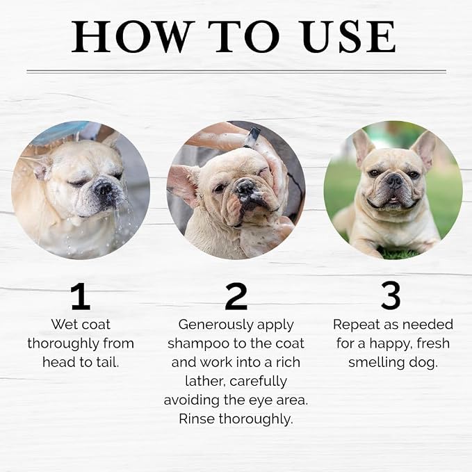 6-in-1 Moisturizing Dog Shampoo - Image 8