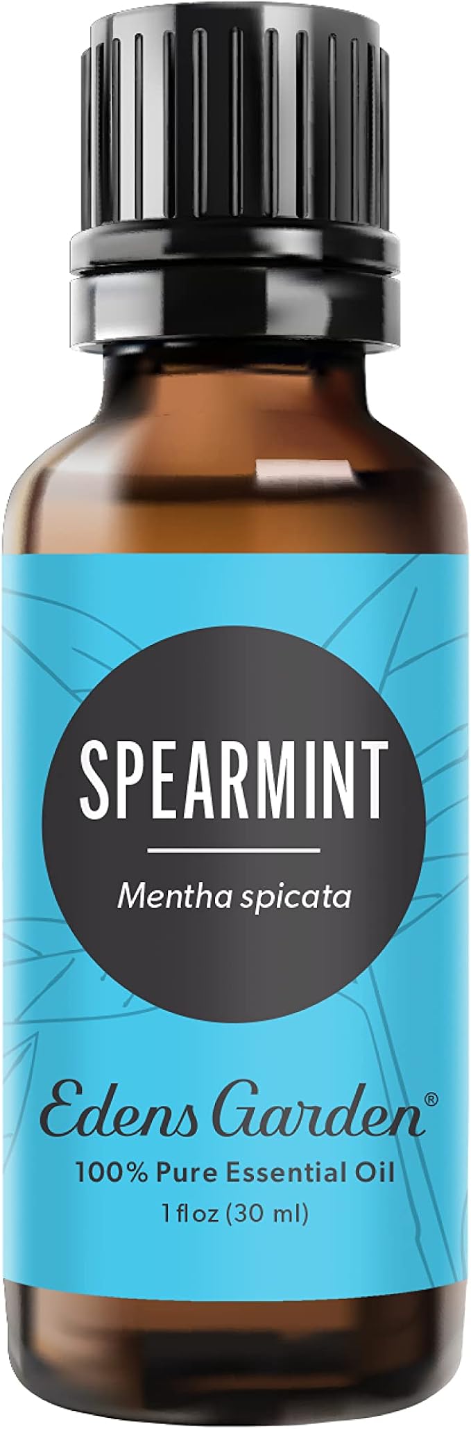Edens Garden Spearmint Essential Oil- 100% Pure Premium Grade, Therapeutic by EdensGarden