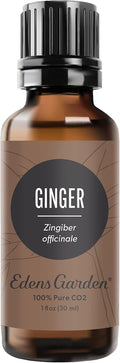 Edens Garden Ginger CO2 Essential Oil- 100% Pure Premium Grade, Therapeutic by EdensGarden