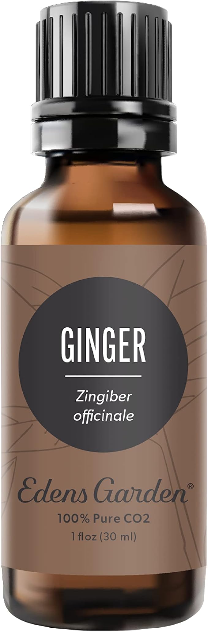 Edens Garden Ginger CO2 Essential Oil- 100% Pure Premium Grade, Therapeutic by EdensGarden