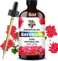 Geranium Essential Oil — Geranium Oils by GV77ZFESSENTIALOILBUYNOW