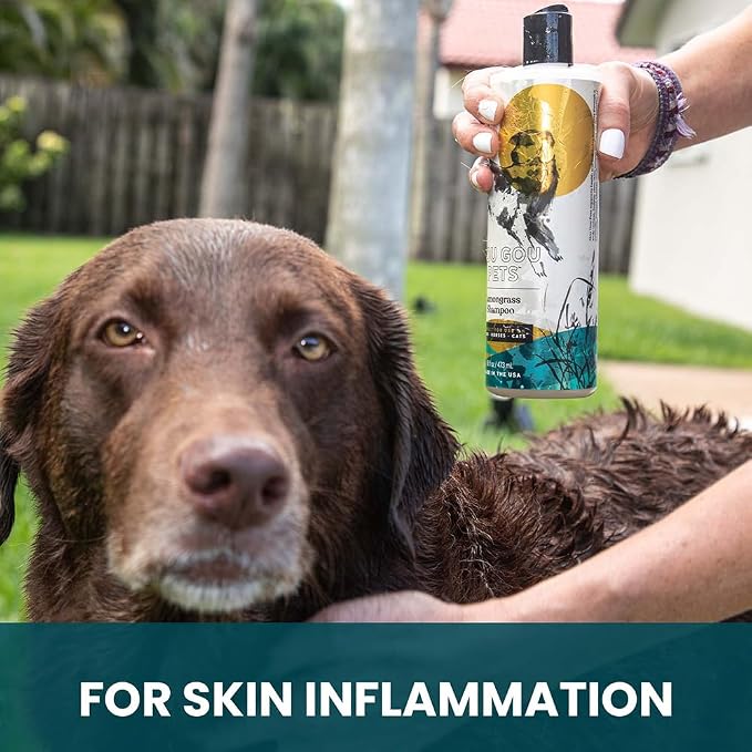 Holistic, Natural and Clean Pet Care Lemongrass Shampoo: Veterinarian - Image 6