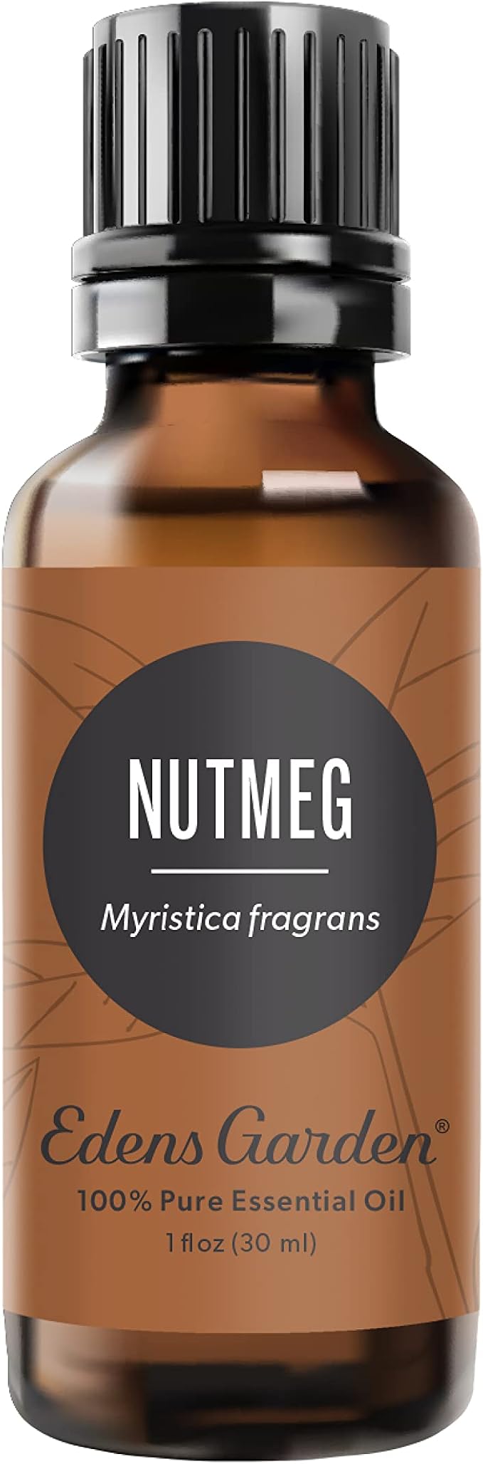 Edens Garden Nutmeg Essential Oil- 100% Pure Premium Grade, Therapeutic by EdensGarden