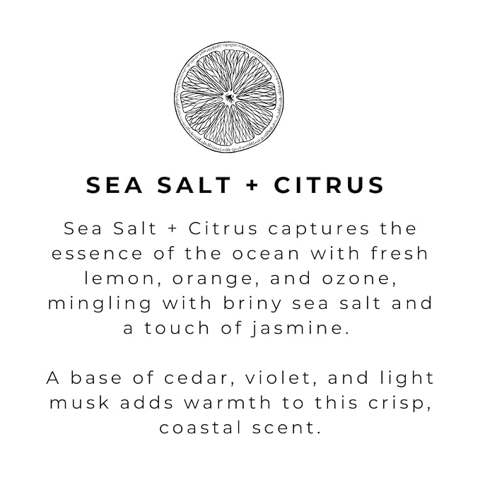 River Birch Sea Salt + Citrus Scented Natural Hand Soap Refill - Image 3
