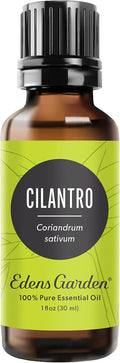 Edens Garden Cilantro Essential Oil- 100% Pure Premium Grade, Therapeutic by EdensGarden