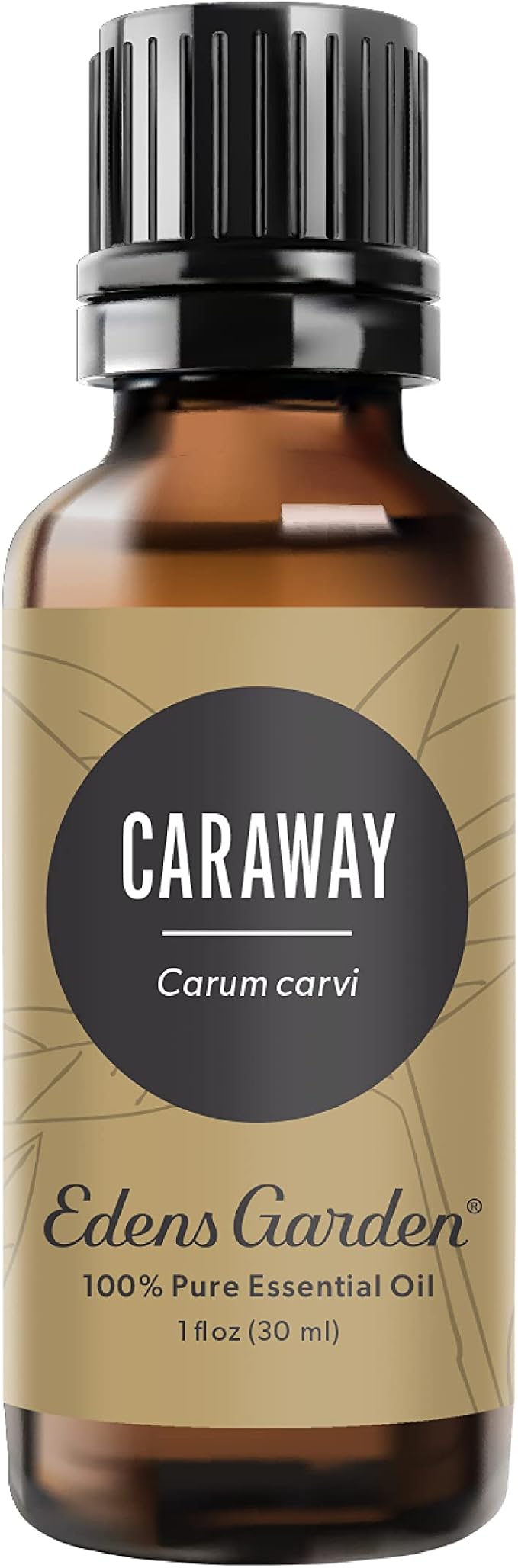 Edens Garden Caraway Essential Oil- 100% Pure Premium Grade, Therapeutic by EdensGarden