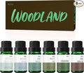 Fragrance Oil, MitFlor Woodland Set of Scented Essential Oils, 10ml x 6 by MitFlor