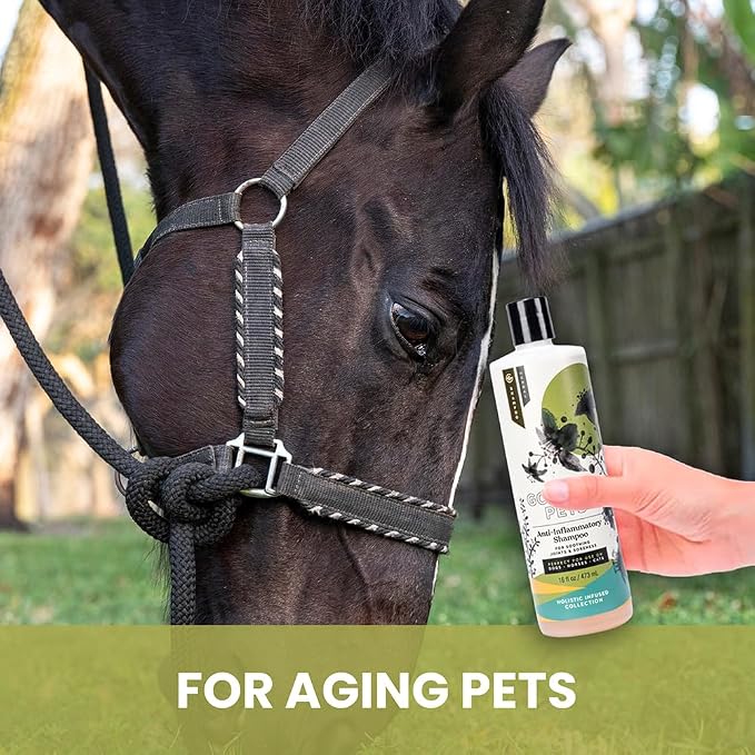 Holistic Natural Anti-Inflammatory Pet Shampoo: Veterinarian Recommended: - Image 3