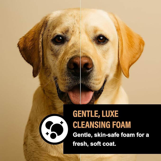 Luxe Foaming Dog Shampoo – Gentle, Moisturizing Pet Wash - Image 5