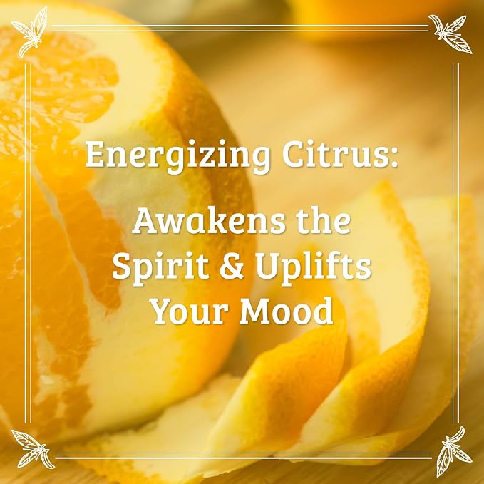 Pharmacopia Citrus Body Wash - Image 4
