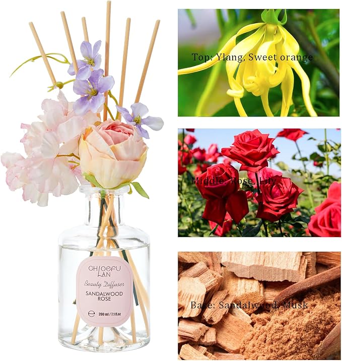 Chloefu Lan Premium Reéd Diffuser Set - Image 3