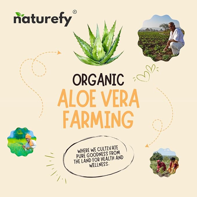 Aloe Vera Gel | 100% Pure & Organic | Farm Fresh Aloe Vera Pulp Extract - Image 9