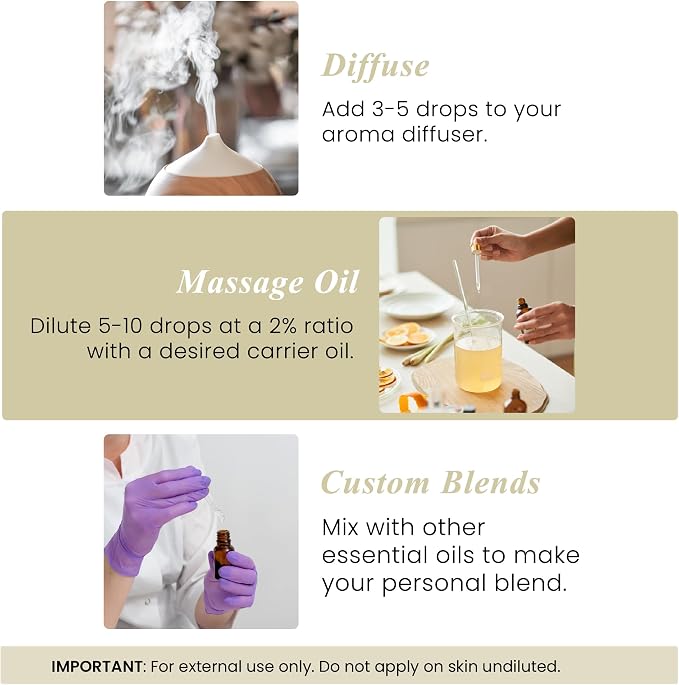 Handcraft Blends Vanilla Essential Oil – 1 Fl Oz – Pure and Natural Mix – - Image 5