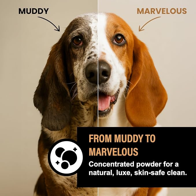 Dog Shampoo Alternative – Oatmeal & Honey Dog Bubble Bath - Image 7