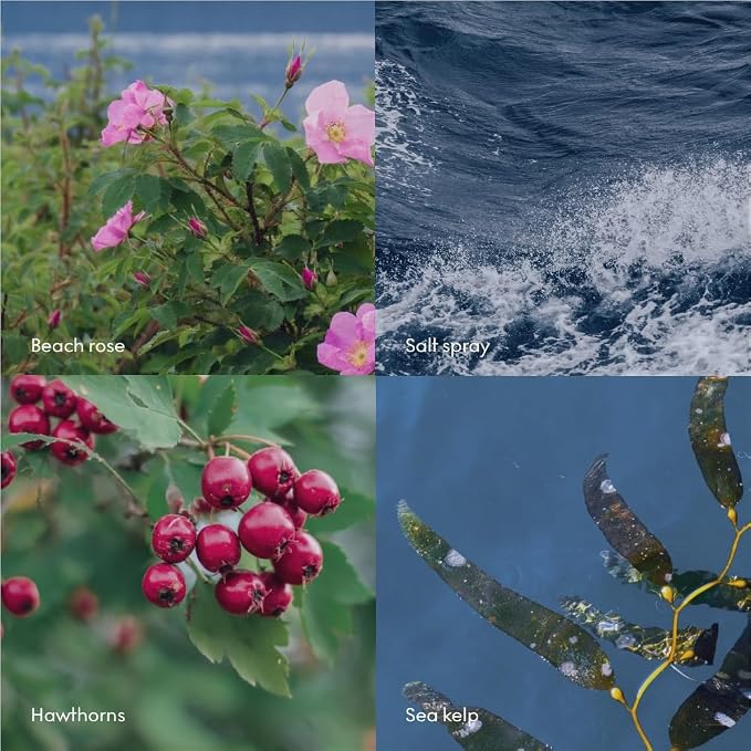 Skandinavisk Wash HAV ‘Sea’ Scent notes: Salt spray and sea kelp, hawthorn and - Image 5