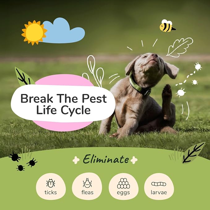 kin+kind Flea and Tick Shampoo for Dogs & Cats Vet Formulated - Image 2