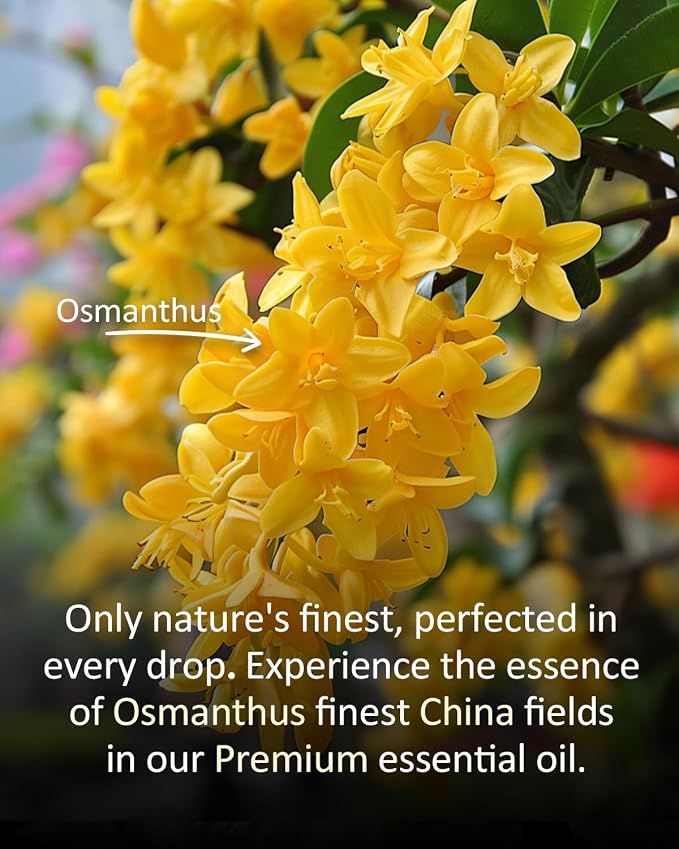 Pure Jasmine Essential Oil, 100% Natural Jasmine Oil, Premium Grade Essential - Image 6