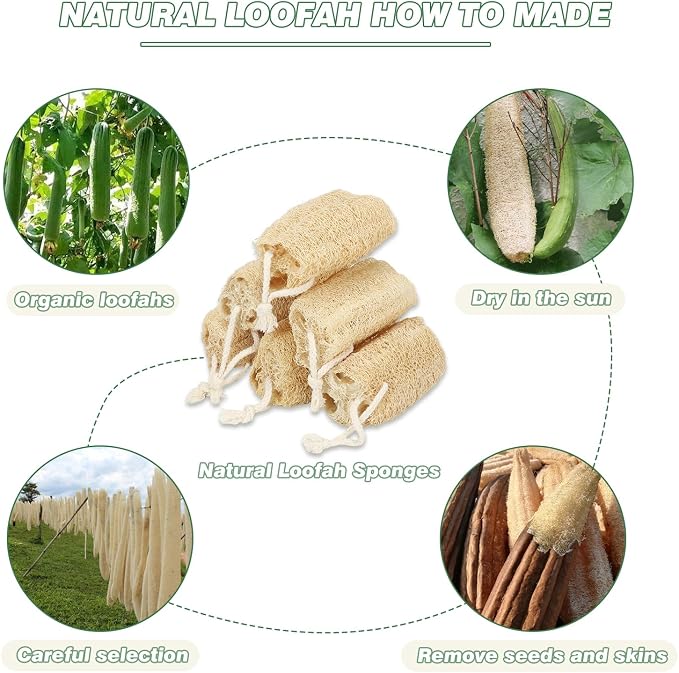 Natural Loofah Sponge Organic Loofa Set 6 Pack, Exfoliating Body Scrubber - Image 6