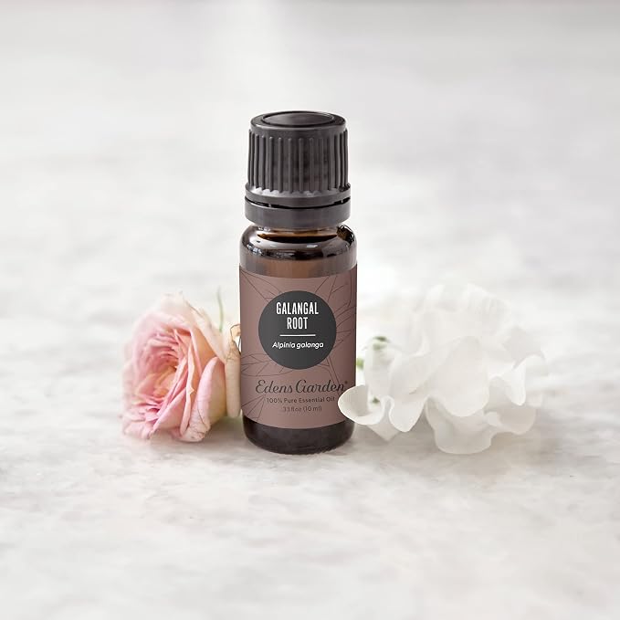 Edens Garden Galangal Root Essential Oil, 100% Pure Therapeutic Grade 10 ml - Image 2