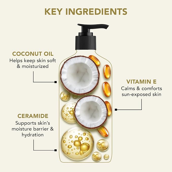 Botanic Hearth Coconut & Ceramide Body Lotion | Barrier Repair - Image 3